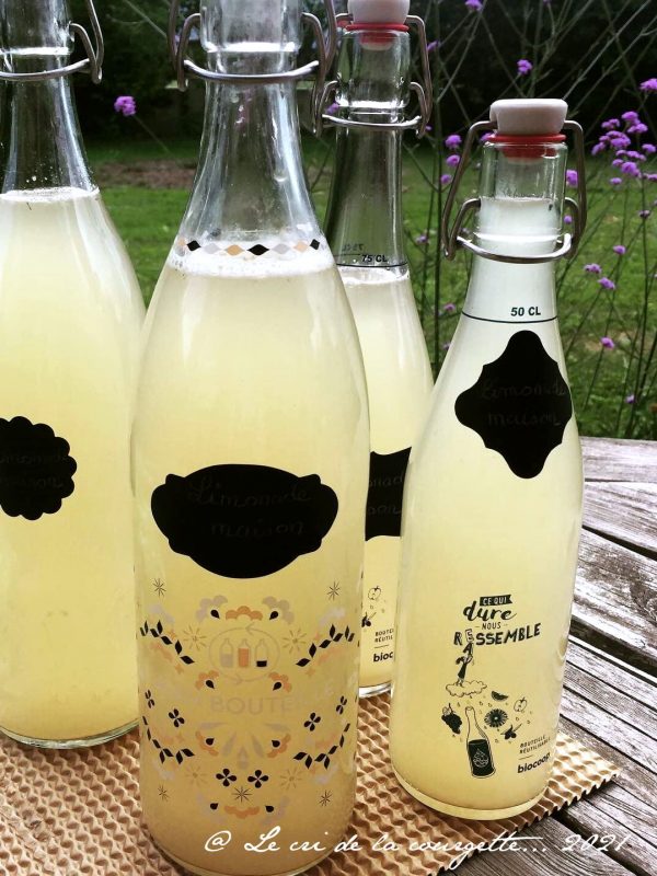 Comment faire de la limonade de fleurs de sureau ?
